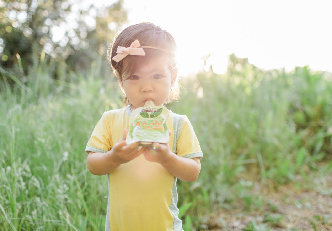 Healthy, Creative and Easy Snacks & Meals for Kids - Wear Lark