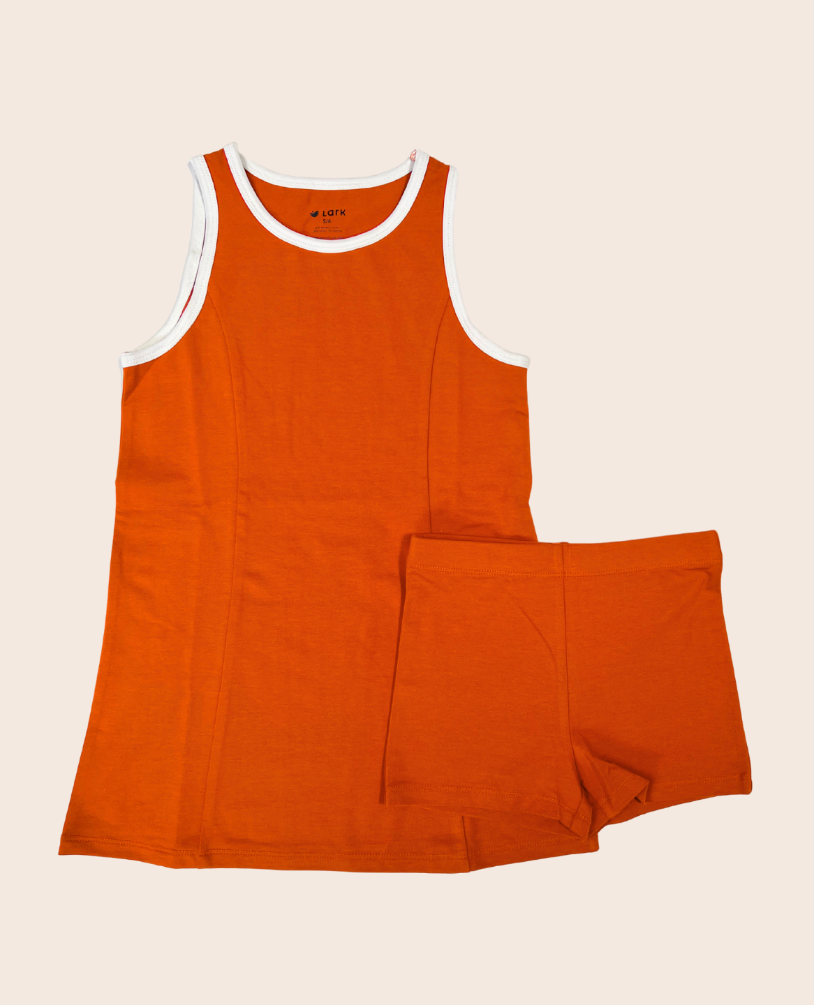 the-all-day-dress-in-chili 3