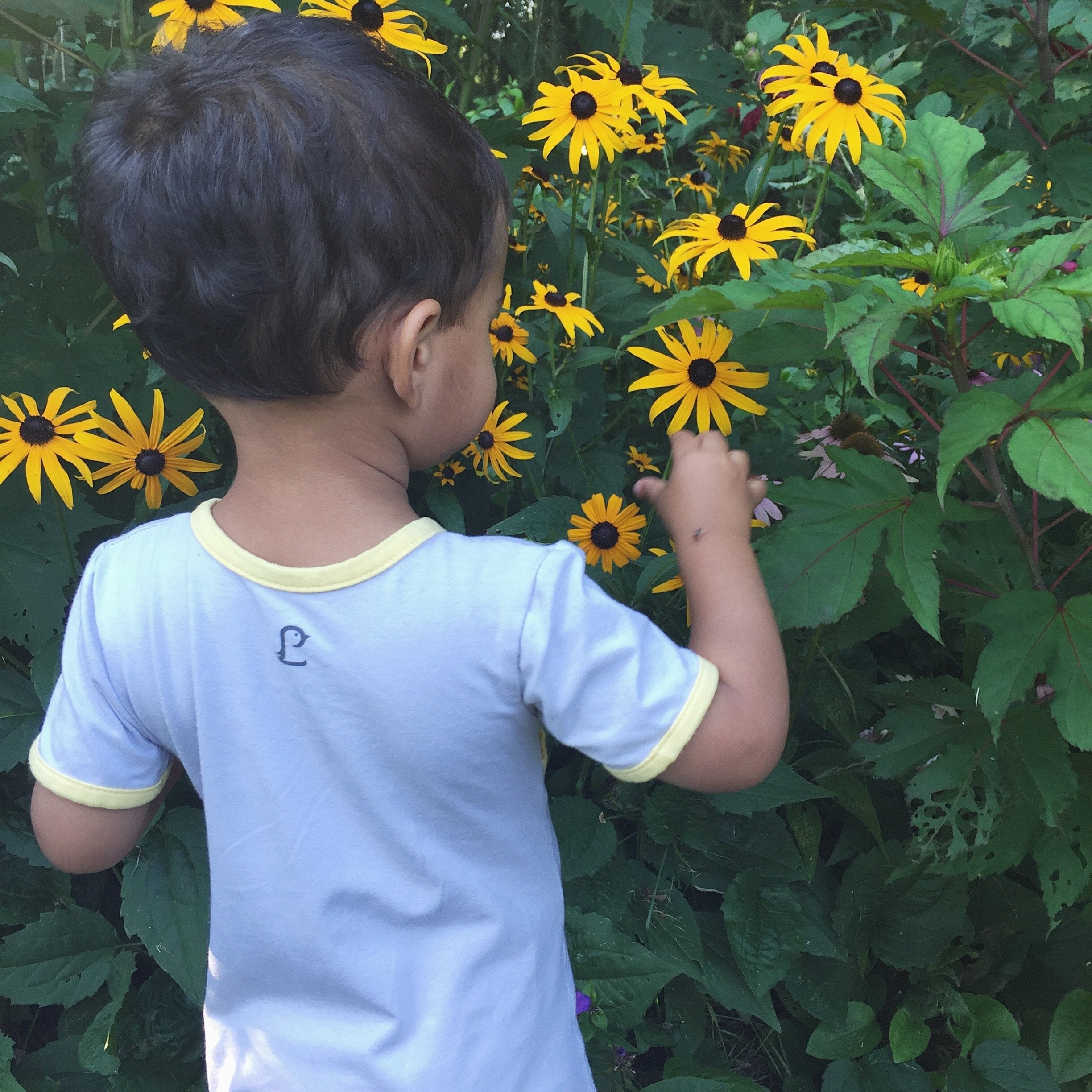 10 Tips for Gardening with a Toddler - Wear Lark